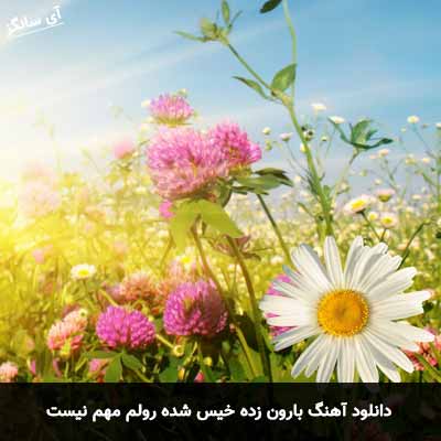دانلود آهنگ بارون زده خیس شده رولم مهم نیست